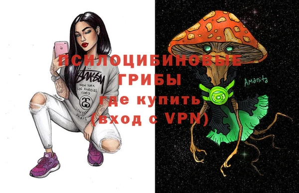 ПСИЛОЦИБИНОВЫЕ ГРИБЫ Богородицк