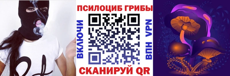 Галлюциногенные грибы мицелий  Дятьково 